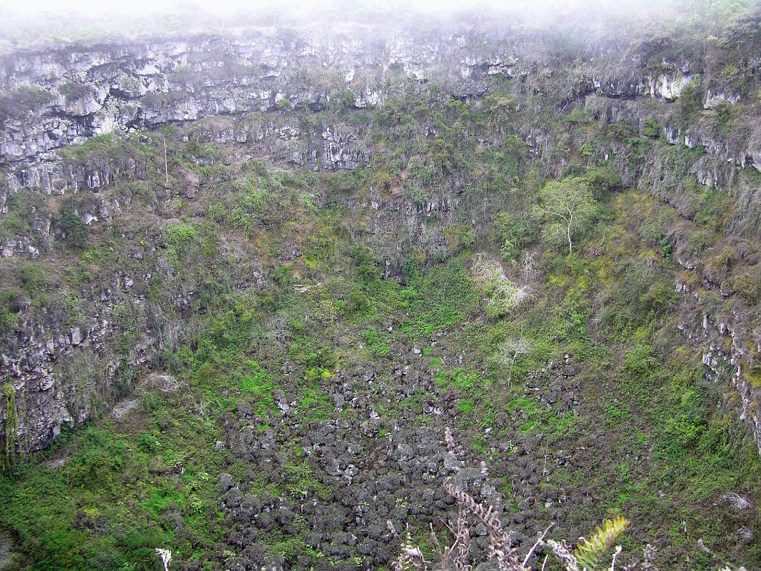 Galapagos 5-2-04 Santa Cruz Highlands Los Gemelos